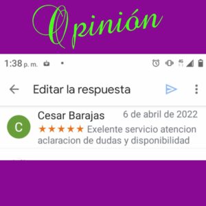 opinion 1